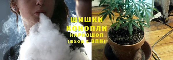 сатива Баксан