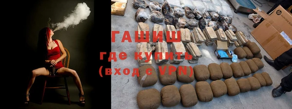 индика Белокуриха
