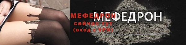 индика Белокуриха