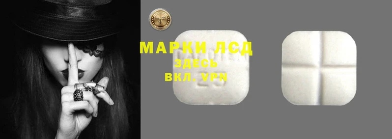 гидропоника Белоозёрский