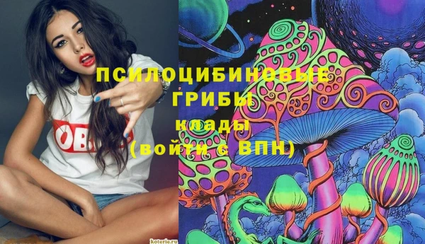 сатива Балахна