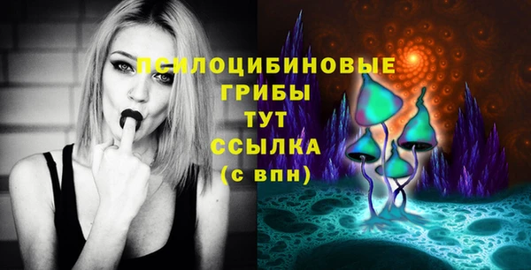таблы Осинники