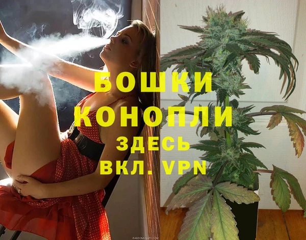 сатива Баксан
