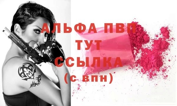сатива Балахна