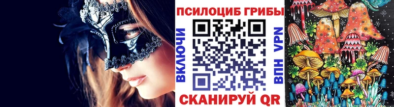 Галлюциногенные грибы Psilocybine cubensis  Севск 